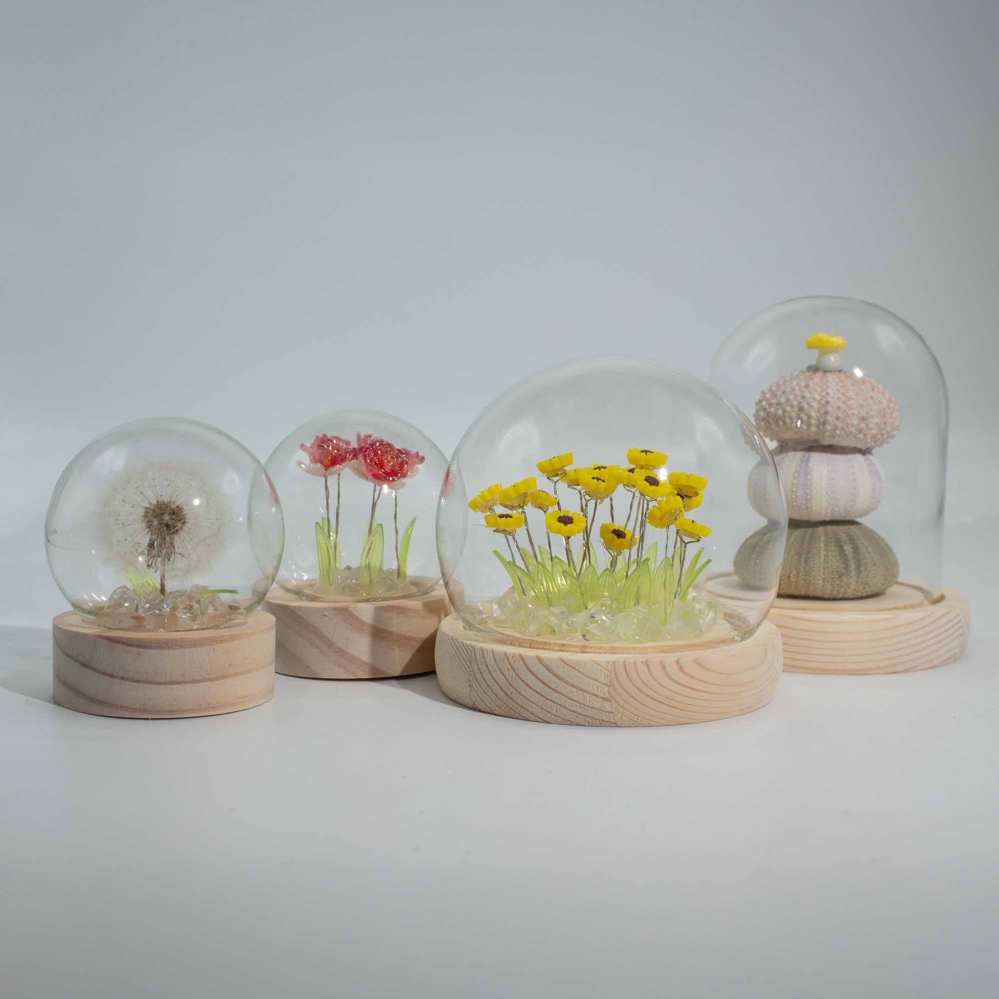 Floral Glow Garden Dome - 10 Pink Roses - LED USB